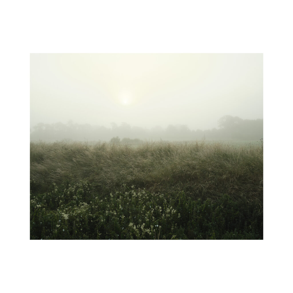 Alfriston Print by Tom Shaw