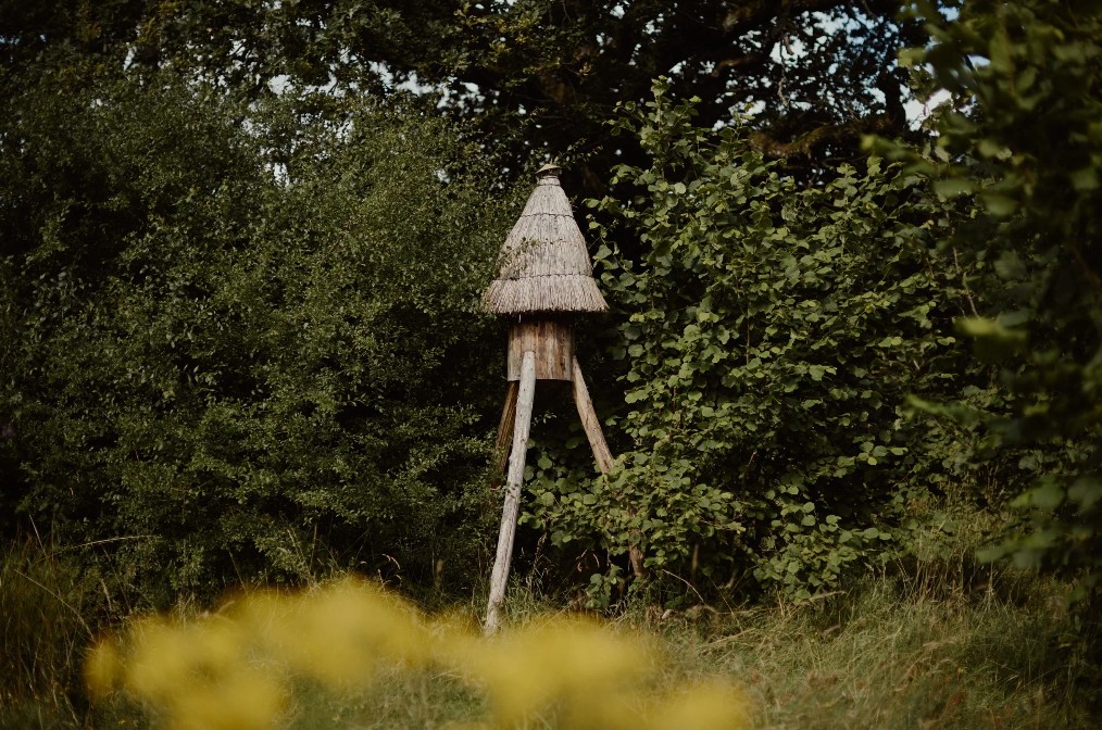 Underhill Wood Nature Reserve (3)