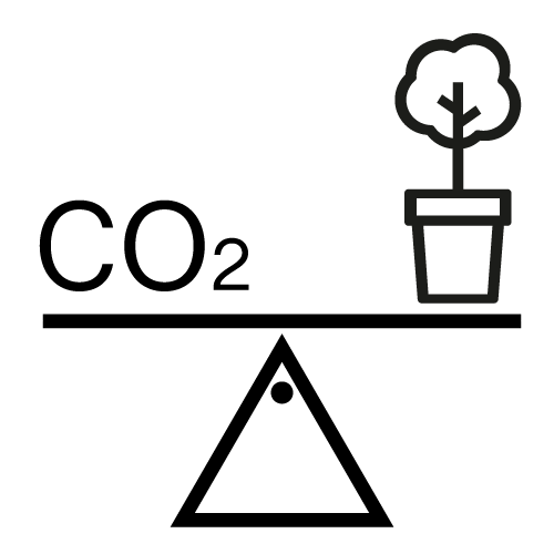 scale icon