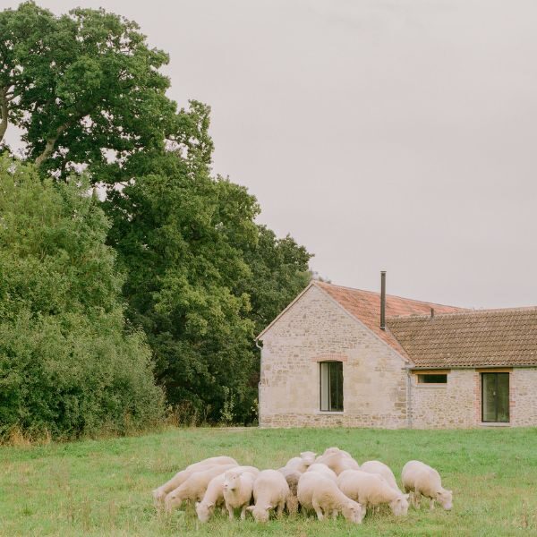 wraxall_yard_nick1 wraxall yard nick read interview